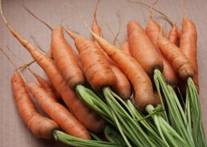Réussir la culture des carottes en potager