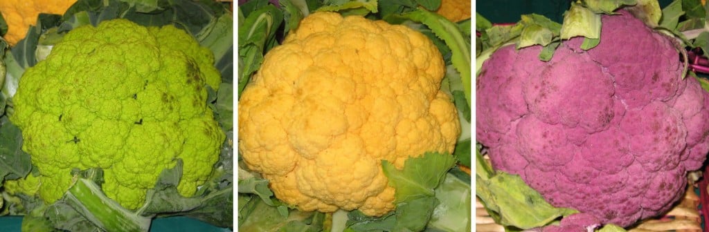 Choux-fleurs vert, jaune et violet à l'étalage d'un marché de fruits et légumes