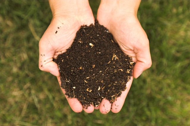 Compost potager jardin