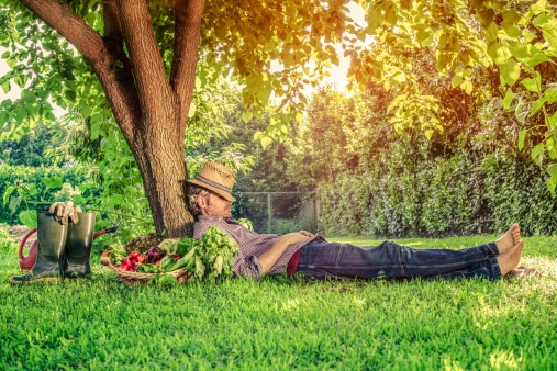 Arrosage au goutte à goutte : que faut-il en penser ?