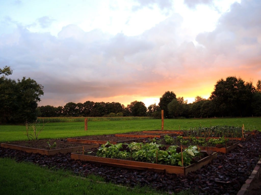 Les jardins carrés sont à la mode