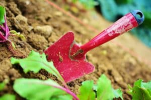 une petite pelle pour jardiner et planter