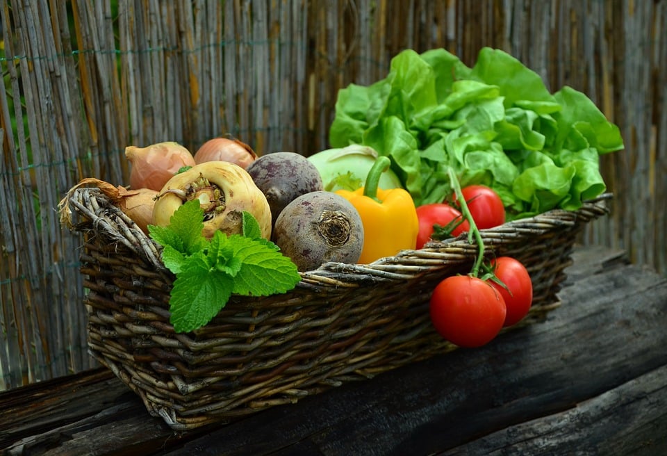 Potager : pourquoi adopter la serre en verre ?